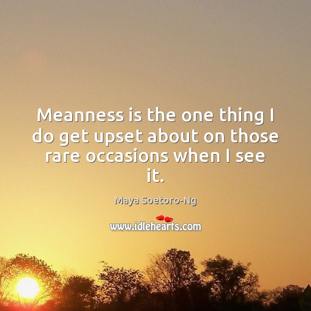 Meanness is the one thing I do get upset about on those rare occasions when I see it. Maya Soetoro-Ng Picture Quote