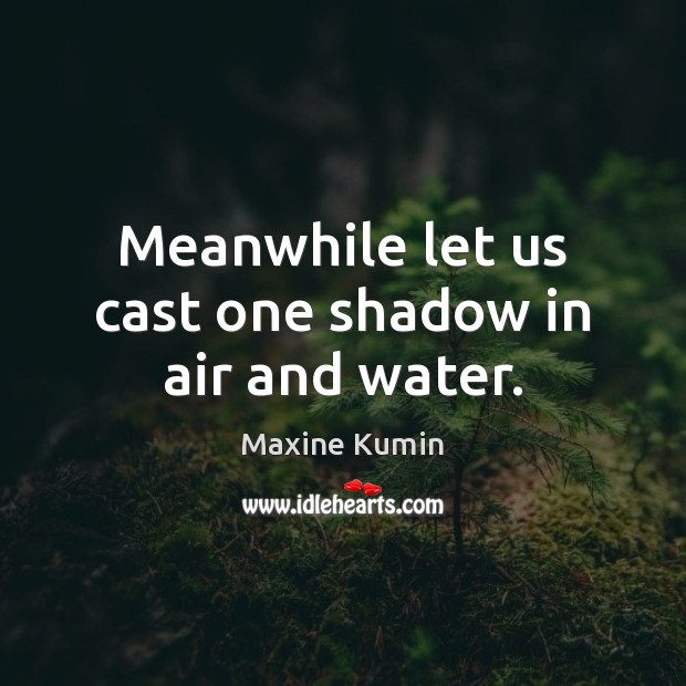Meanwhile let us cast one shadow in air and water. Maxine Kumin Picture Quote