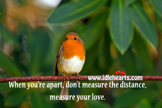 When you’re apart  measure your love. Image