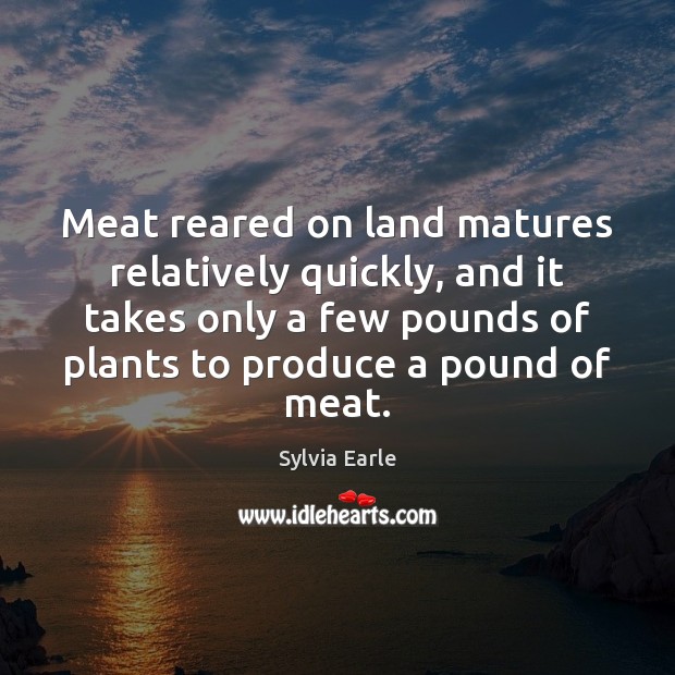 Meat reared on land matures relatively quickly, and it takes only a Image