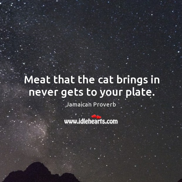 Meat that the cat brings in never gets to your plate. Jamaican Proverbs Image