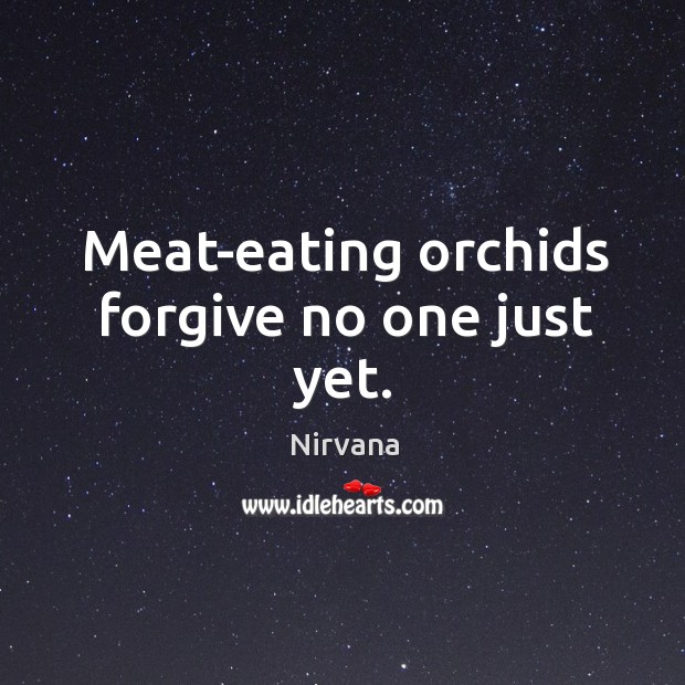 Meat-eating orchids forgive no one just yeet. Nirvana Picture Quote