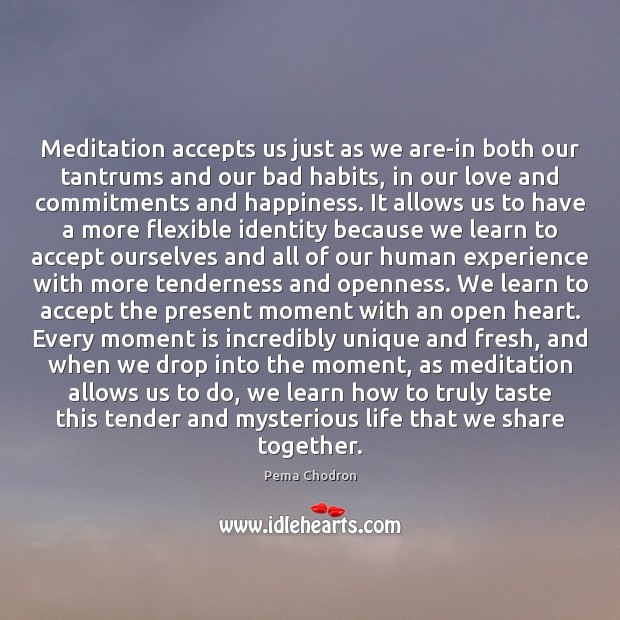 Meditation accepts us just as we are-in both our tantrums and our Pema Chodron Picture Quote