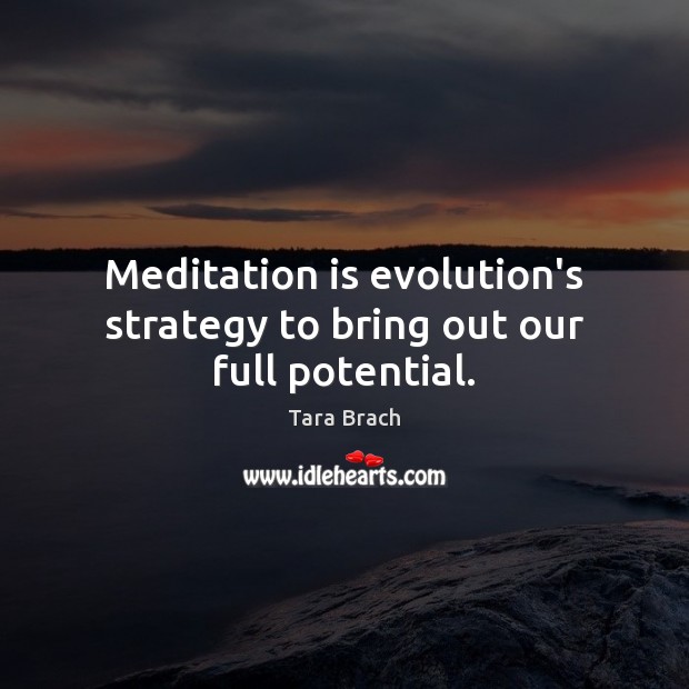 Meditation is evolution’s strategy to bring out our full potential. Image