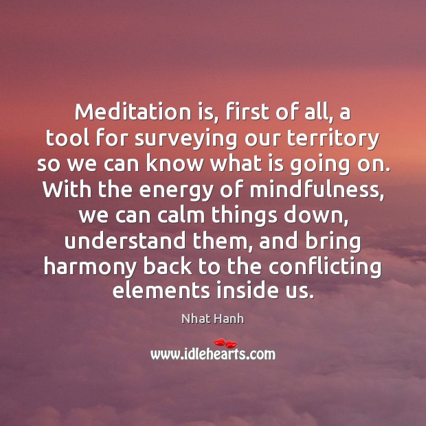 Meditation is, first of all, a tool for surveying our territory so Nhat Hanh Picture Quote