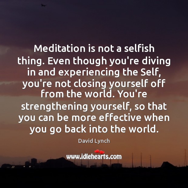 Meditation is not a selfish thing. Even though you’re diving in and David Lynch Picture Quote
