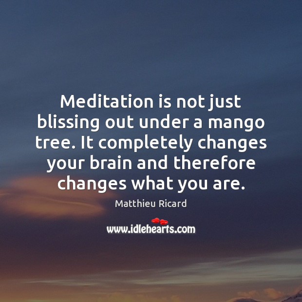 Meditation is not just blissing out under a mango tree. It completely Matthieu Ricard Picture Quote