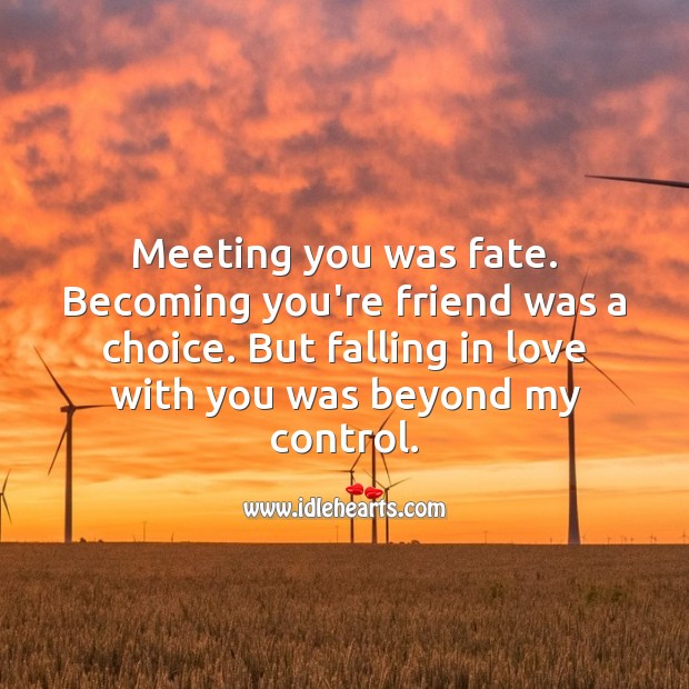 Meeting you was fate. Becoming you’re friend was a choice. Romantic Messages Image