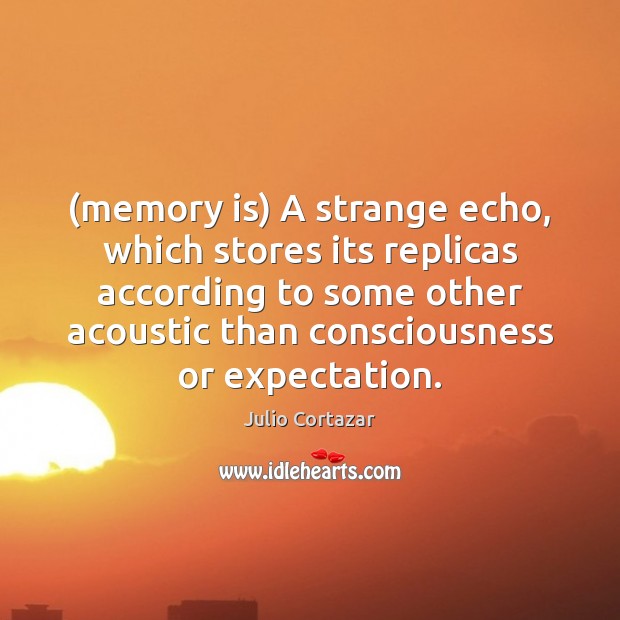 (memory is) A strange echo, which stores its replicas according to some Julio Cortazar Picture Quote