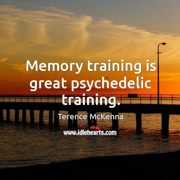Memory training is great psychedelic training. Terence McKenna Picture Quote