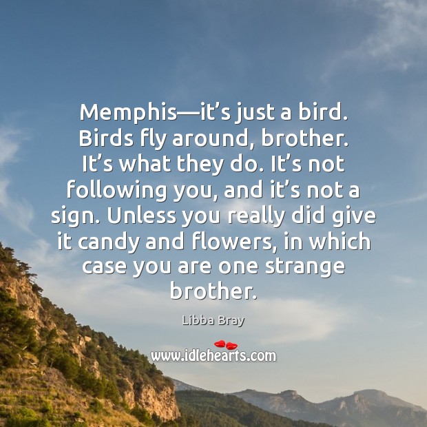 Memphis—it’s just a bird. Birds fly around, brother. It’s Image