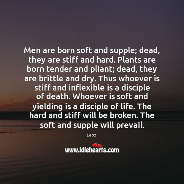 Men are born soft and supple; dead, they are stiff and hard. Laozi Picture Quote