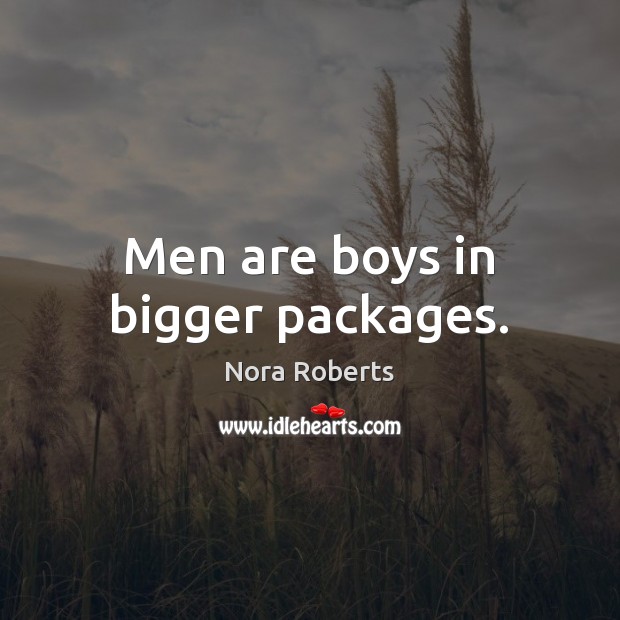 Men are boys in bigger packages. Nora Roberts Picture Quote