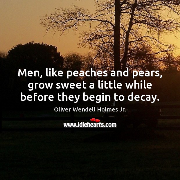 Men, like peaches and pears, grow sweet a little while before they begin to decay. Oliver Wendell Holmes Jr. Picture Quote