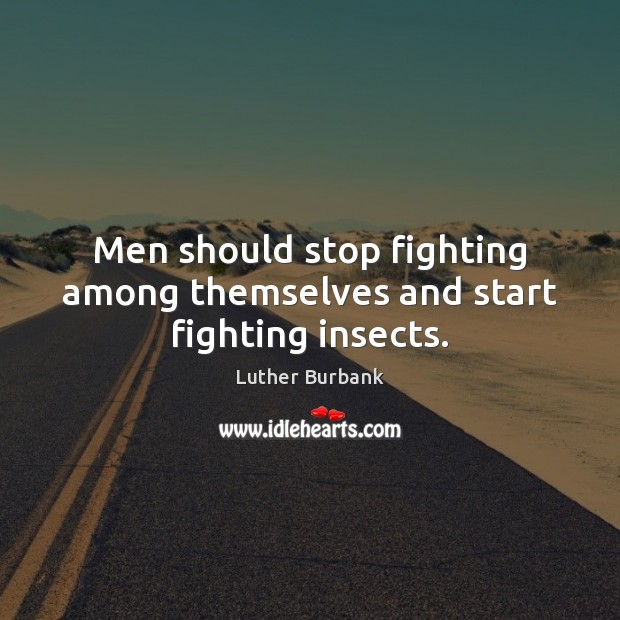 Men should stop fighting among themselves and start fighting insects. Image