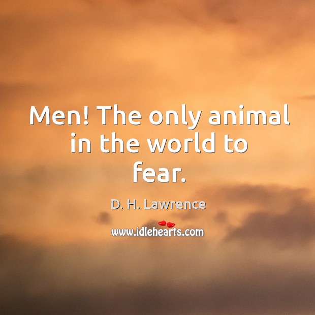 Men! the only animal in the world to fear. D. H. Lawrence Picture Quote