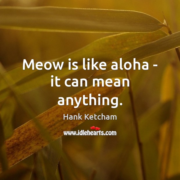 Meow is like aloha – it can mean anything. Image