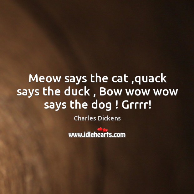 Meow says the cat ,quack says the duck , Bow wow wow says the dog ! Grrrr! Image