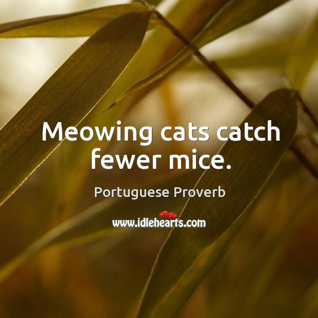 Meowing cats catch fewer mice. Portuguese Proverbs Image