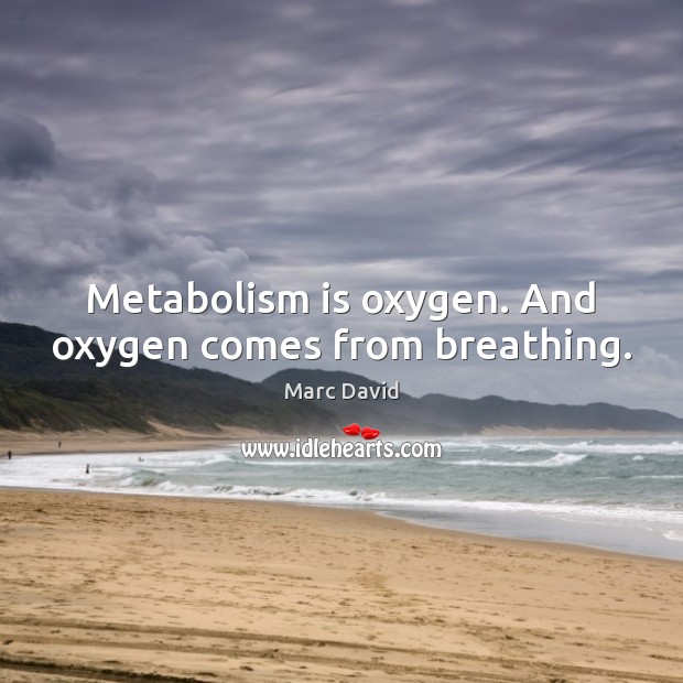 Metabolism is oxygen. And oxygen comes from breathing. Marc David Picture Quote