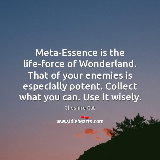 Meta-Essence is the life-force of Wonderland. That of your enemies is especially Cheshire Cat Picture Quote