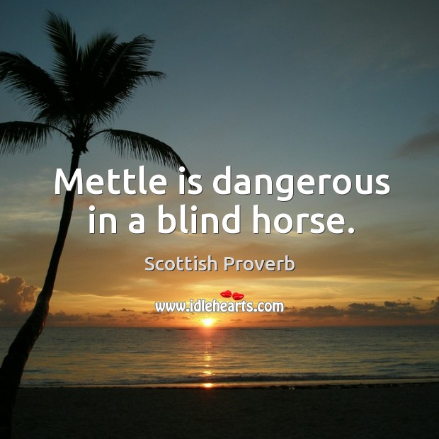 Mettle is dangerous in a blind horse. Scottish Proverbs Image
