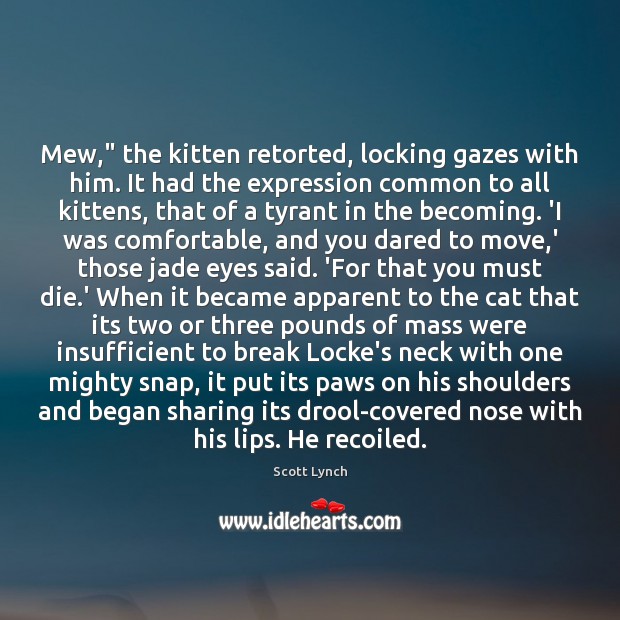 Mew,” the kitten retorted, locking gazes with him. It had the expression Image