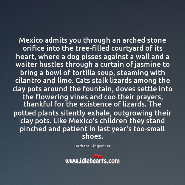 Mexico admits you through an arched stone orifice into the tree-filled courtyard Barbara Kingsolver Picture Quote