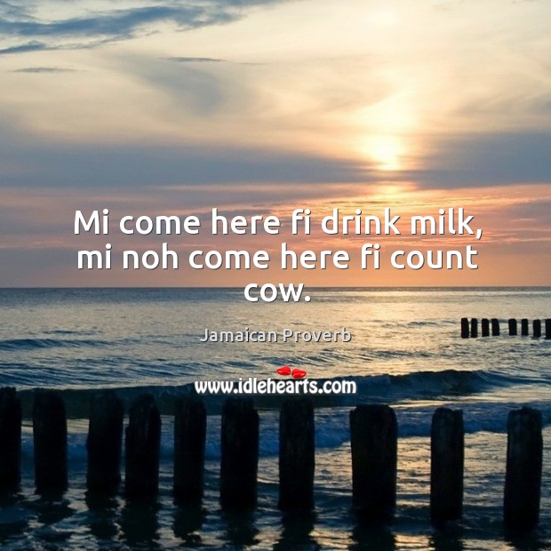 Mi come here fi drink milk, mi noh come here fi count cow. Jamaican Proverbs Image