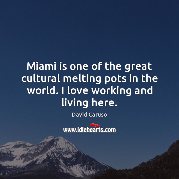 Miami is one of the great cultural melting pots in the world. David Caruso Picture Quote
