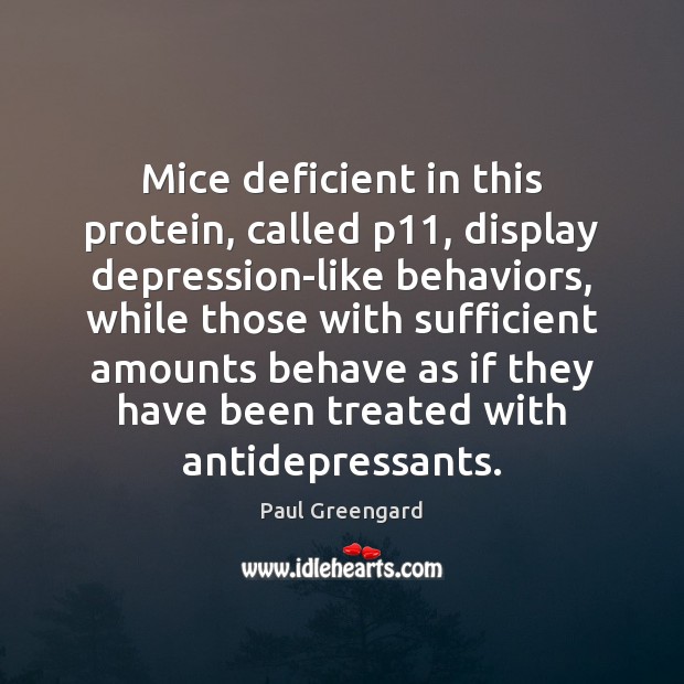 Mice deficient in this protein, called p11, display depression-like behaviors, while those Paul Greengard Picture Quote