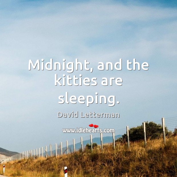 Midnight, and the kitties are sleeping. David Letterman Picture Quote