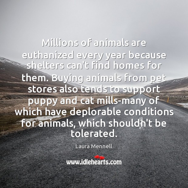 Millions of animals are euthanized every year because shelters can’t find homes Laura Mennell Picture Quote
