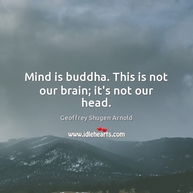 Mind is buddha. This is not our brain; it’s not our head. Geoffrey Shugen Arnold Picture Quote