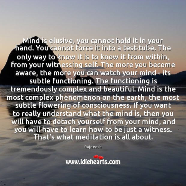 Mind is elusive, you cannot hold it in your hand. You cannot Image