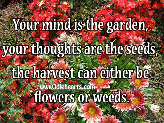 Your mind is the garden, your thoughts are the seeds Image