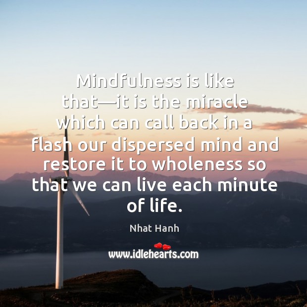 Mindfulness is like that—it is the miracle which can call back Image