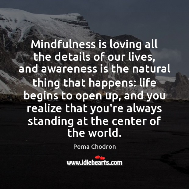 Mindfulness is loving all the details of our lives, and awareness is Pema Chodron Picture Quote