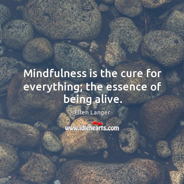 Mindfulness is the cure for everything; the essence of being alive. Ellen Langer Picture Quote
