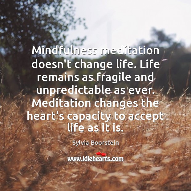 Mindfulness meditation doesn’t change life. Life remains as fragile and unpredictable as Sylvia Boorstein Picture Quote