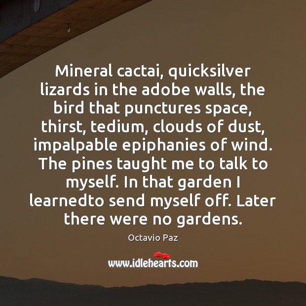 Mineral cactai, quicksilver lizards in the adobe walls, the bird that punctures Octavio Paz Picture Quote