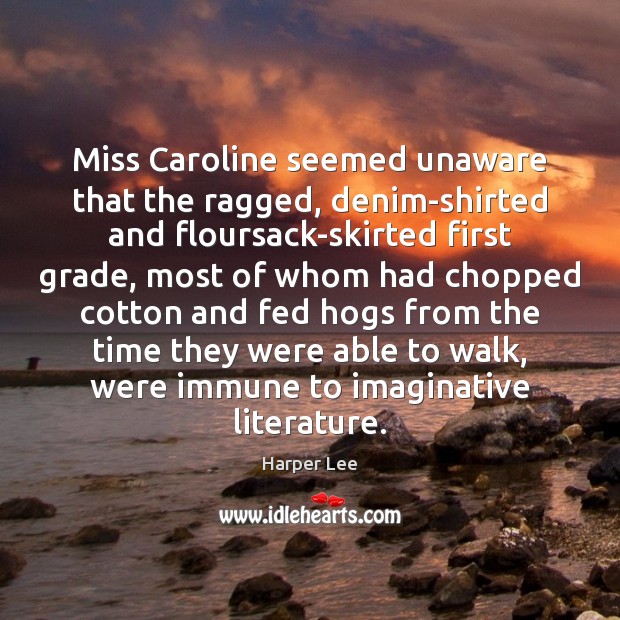 Miss Caroline seemed unaware that the ragged, denim-shirted and floursack-skirted first grade, Harper Lee Picture Quote