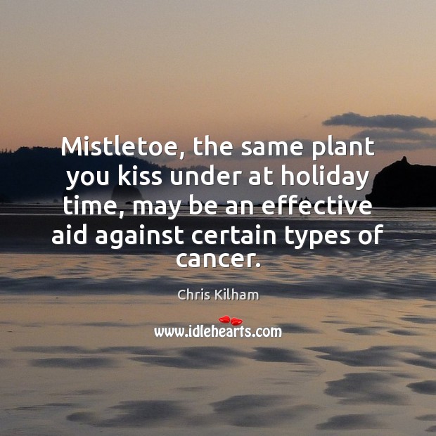 Mistletoe, the same plant you kiss under at holiday time, may be Chris Kilham Picture Quote