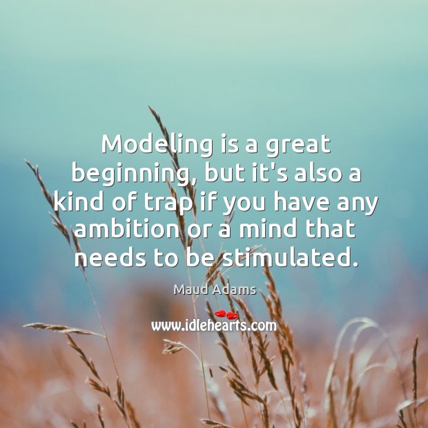 Modeling is a great beginning, but it’s also a kind of trap Image
