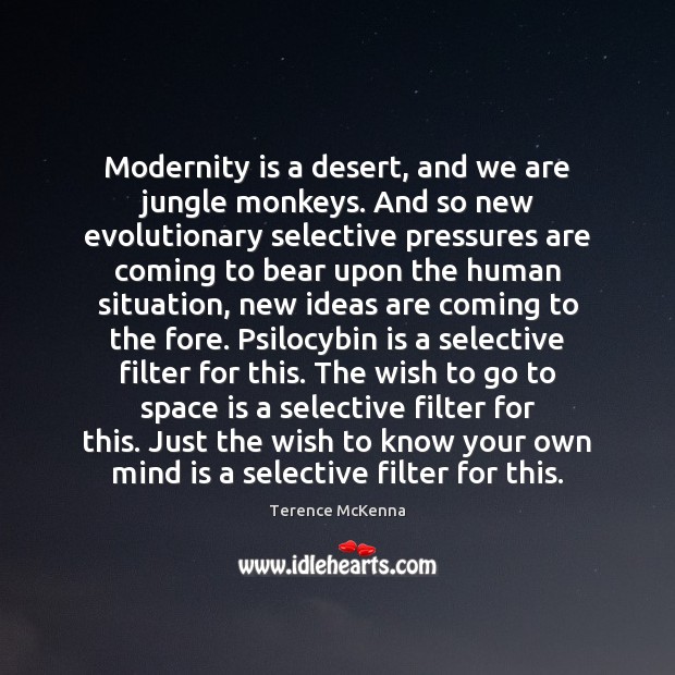 Modernity is a desert, and we are jungle monkeys. And so new Image