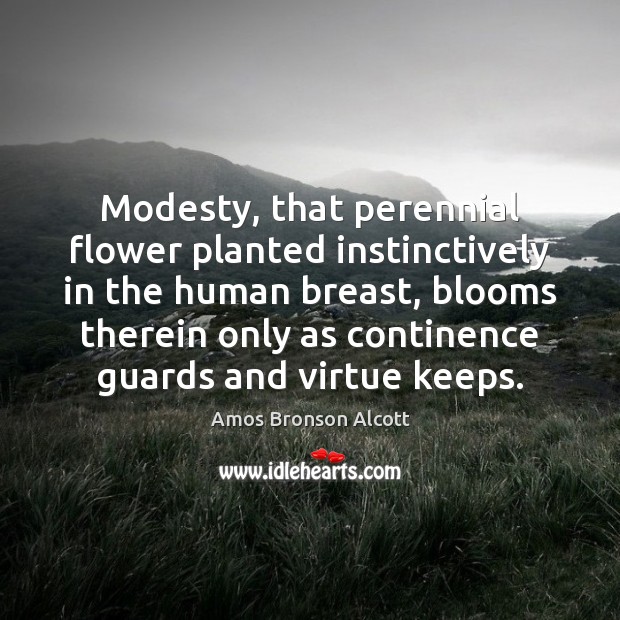 Modesty, that perennial flower planted instinctively in the human breast, blooms therein Amos Bronson Alcott Picture Quote