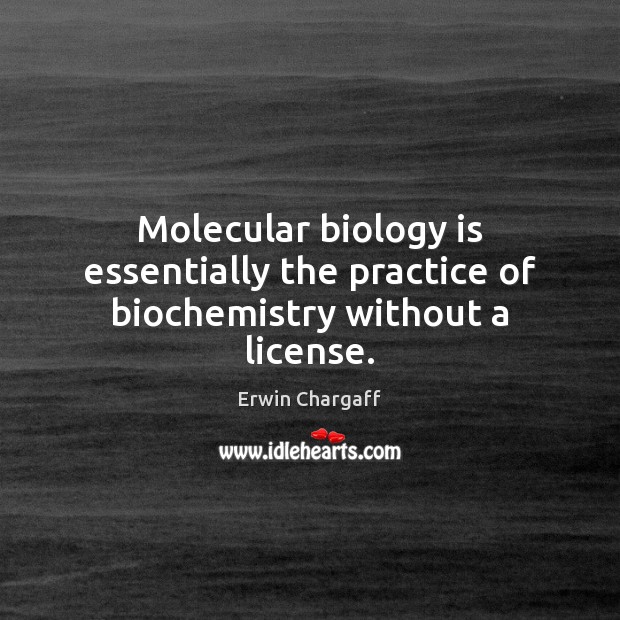 Molecular biology is essentially the practice of biochemistry without a license. Image
