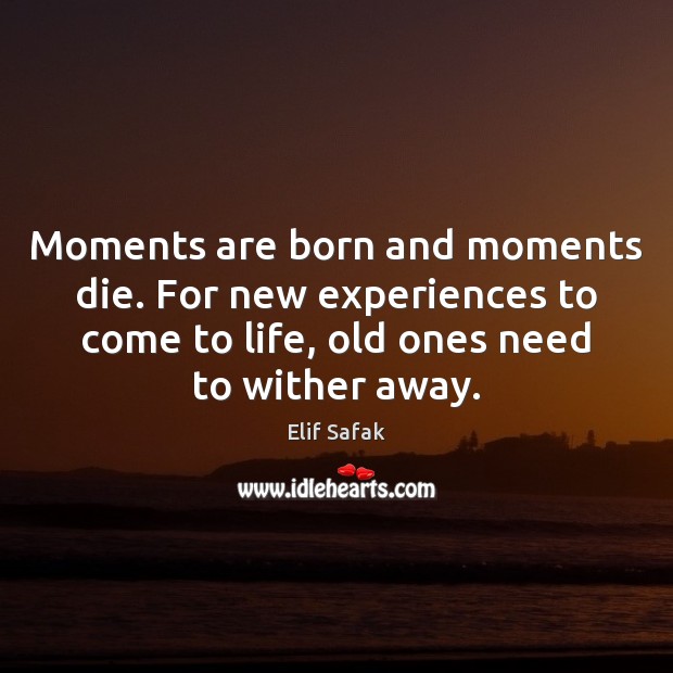 Moments are born and moments die. For new experiences to come to Elif Safak Picture Quote