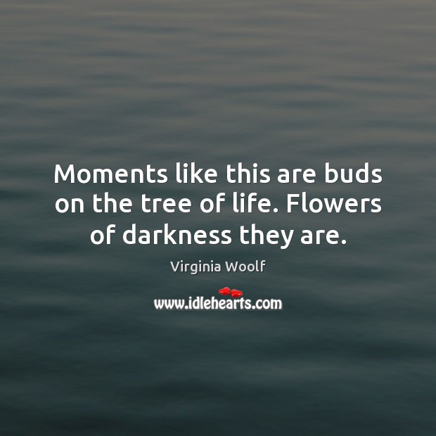 Moments like this are buds on the tree of life. Flowers of darkness they are. Image