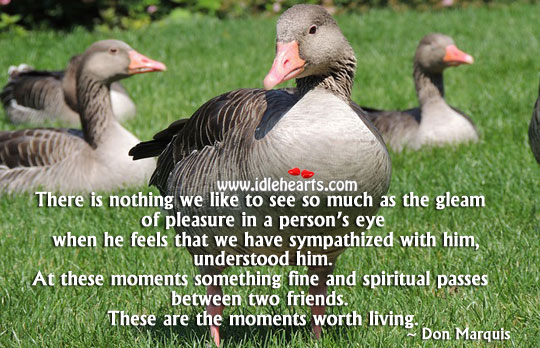 The moments worth living. Don Marquis Picture Quote